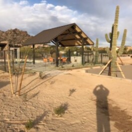 glass pool fence in desert