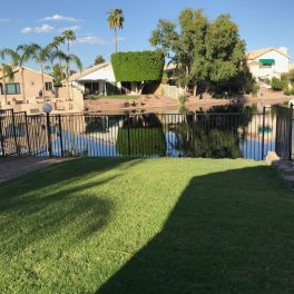 black iron fencing river barrier
