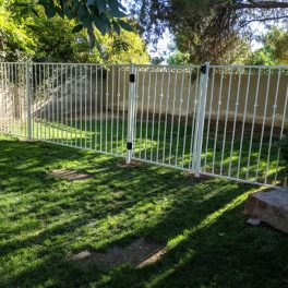 white iron fence knuckles