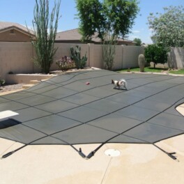 mesh pool covers keep pets safe